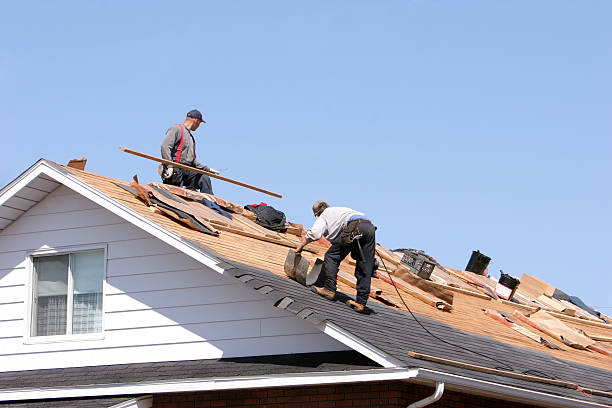 Best Metal Roofing Installation  in Wakefield, VA